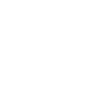 LDC Logo White Vertical